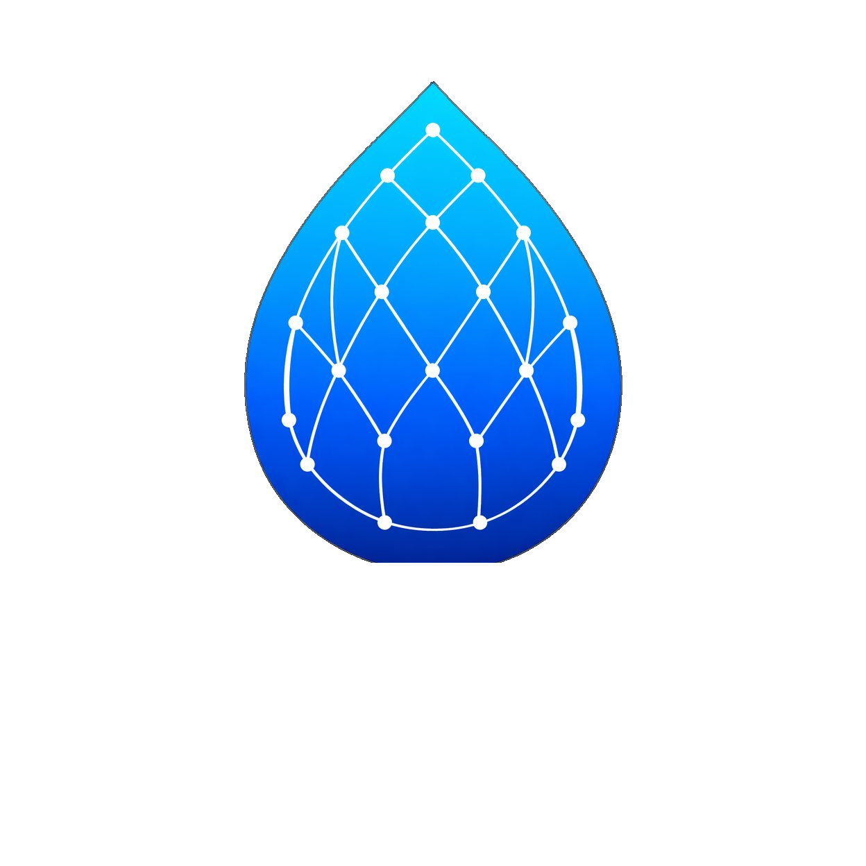 Digital Water Solutions — DWS Logo